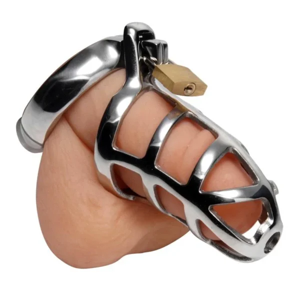 Lock Stainless Steel Chastity Cage